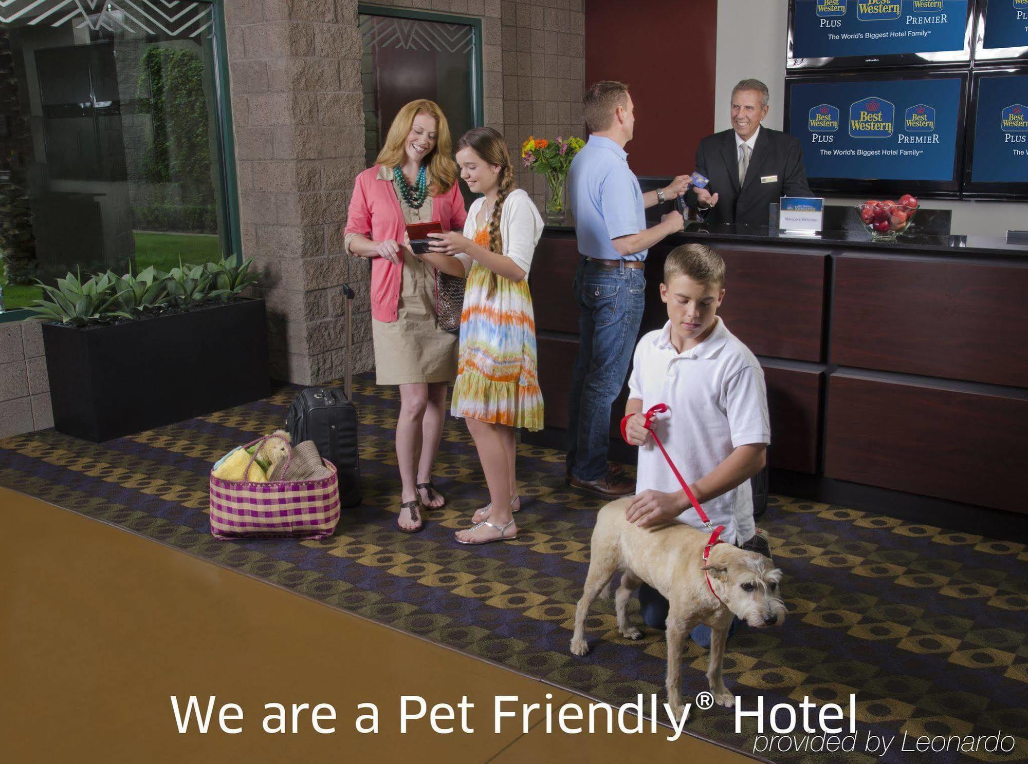 Best Western Wakulla Inn & Suites Crawfordville Extérieur photo